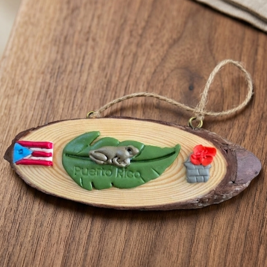 Coquí Boricua